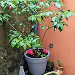 Artist - Center - Bathtub - Terrasse - Full * Rouen