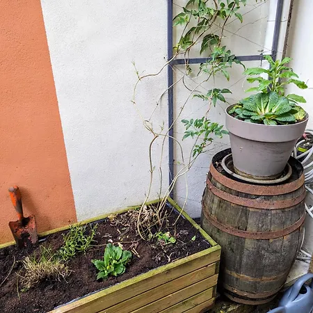 Artist - Center - Bathtub - Terrasse - Full דירה רואן